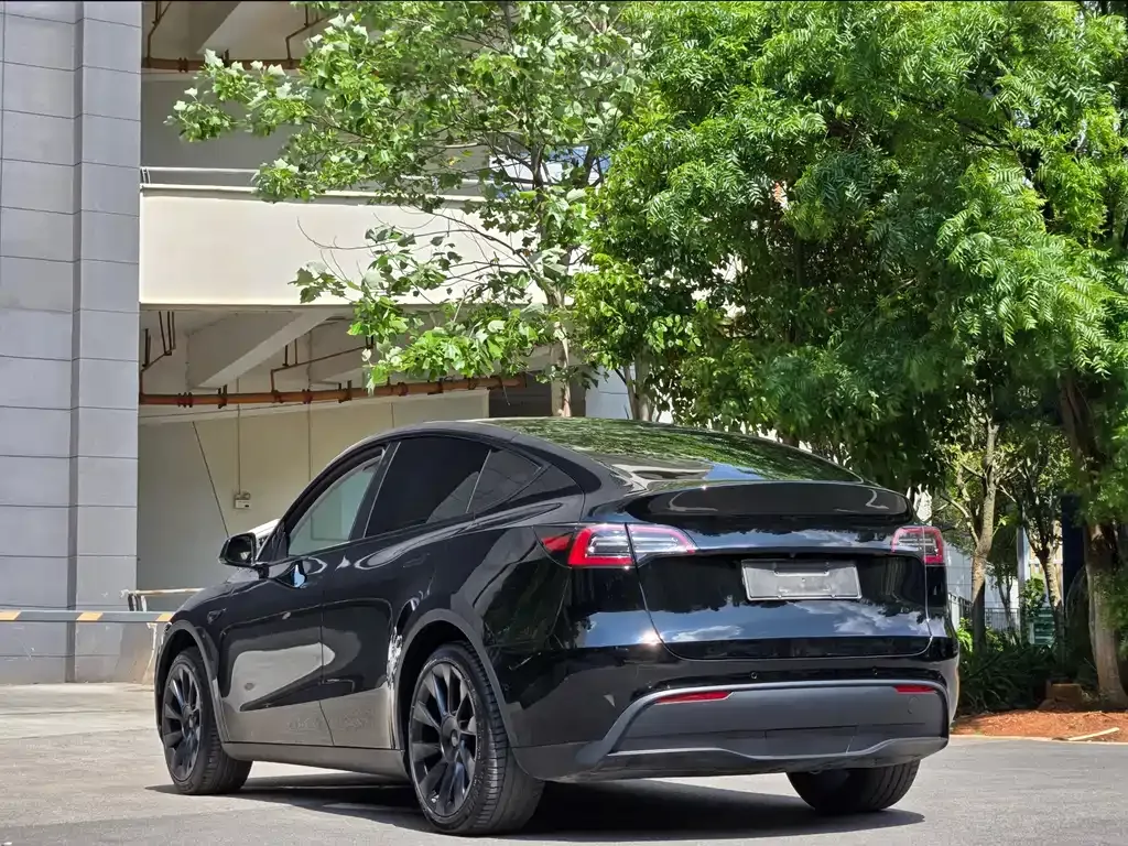 Tesla Model Y — фото 7