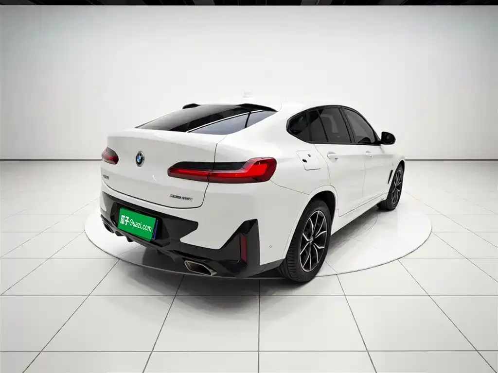 BMW X4 2023 из CN, фото 4