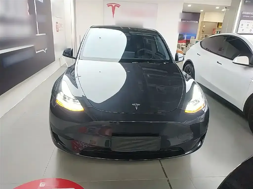 Tesla Model Y — фото 2