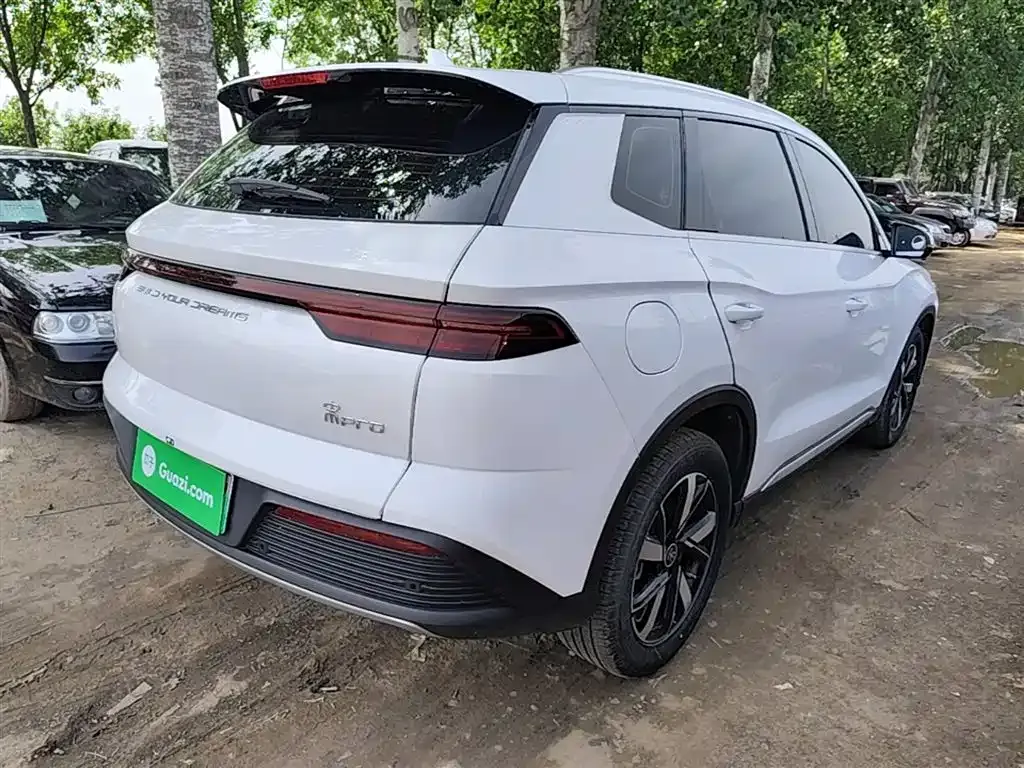 BYD Pro New Energy — фото 7