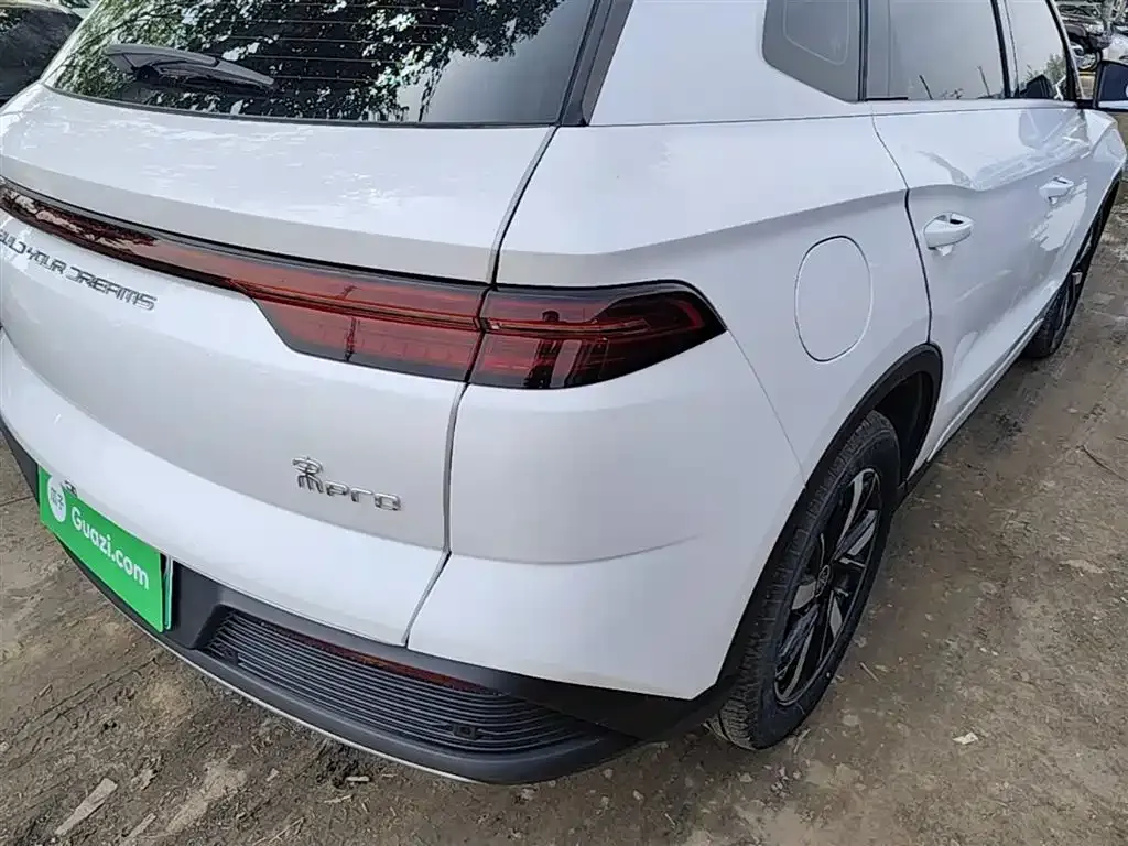 BYD Pro New Energy — фото 3