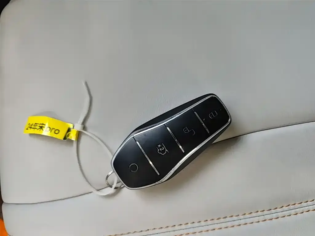 BYD Pro New Energy — фото 2