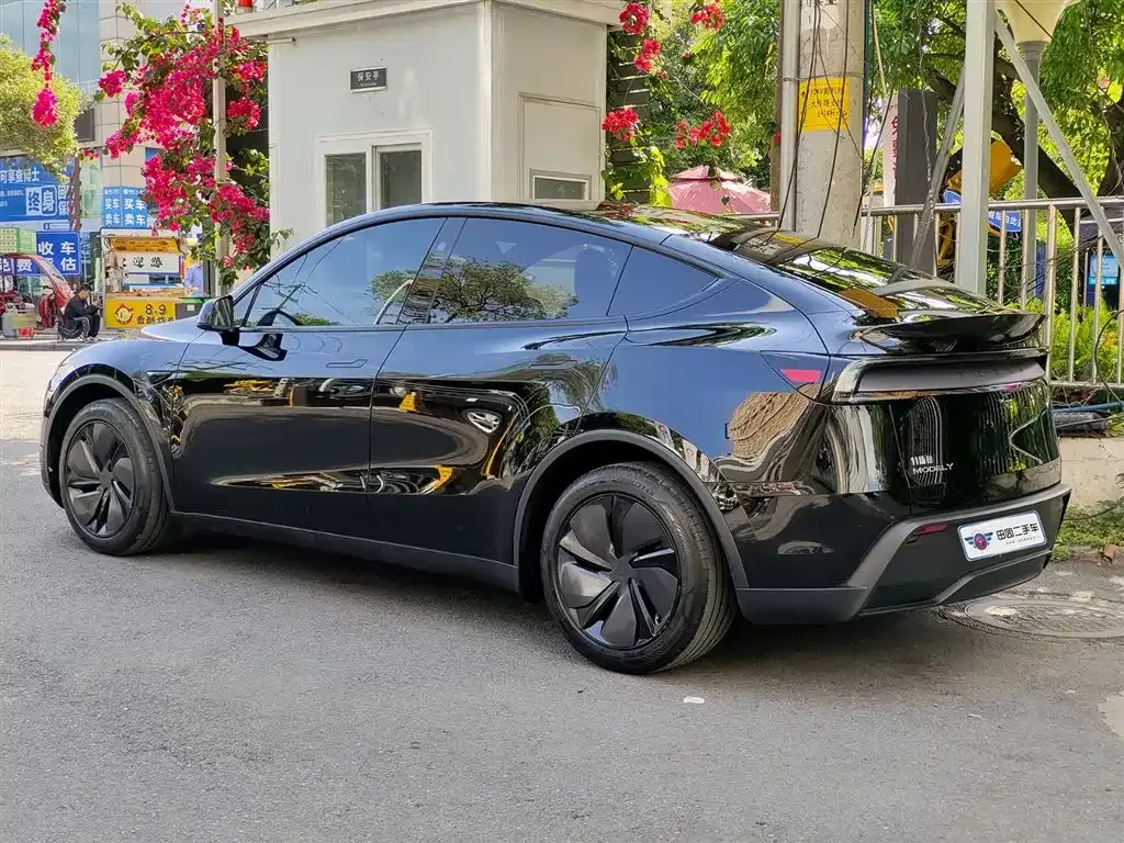 Tesla Model Y — фото 6