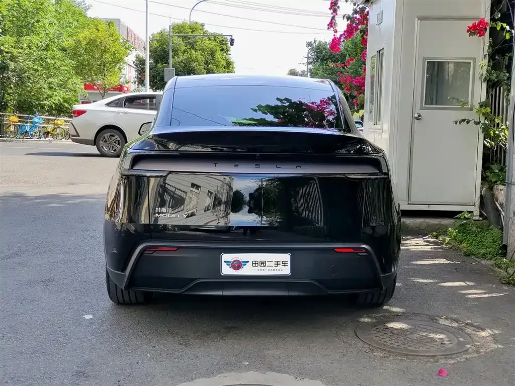 Tesla Model Y — фото 4