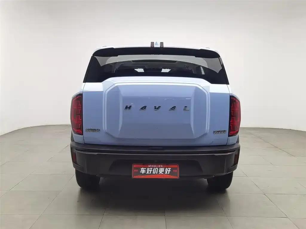 Haval Cool Dog 2023 из CN, фото 2