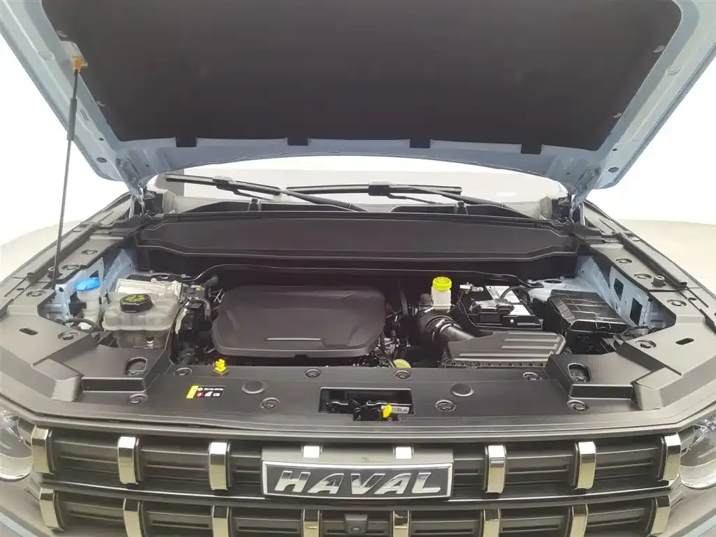 Haval Cool Dog 2023 из CN, фото 9