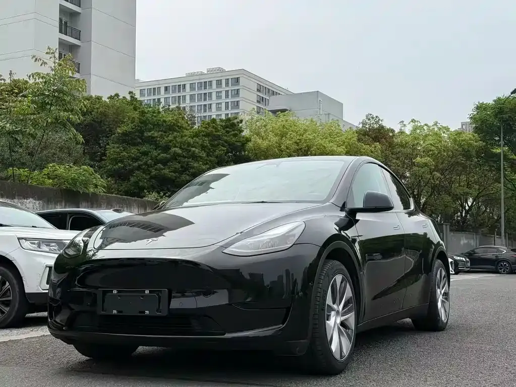 Tesla Model Y — фото 1