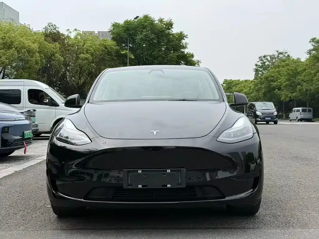 Tesla Model Y — фото 10