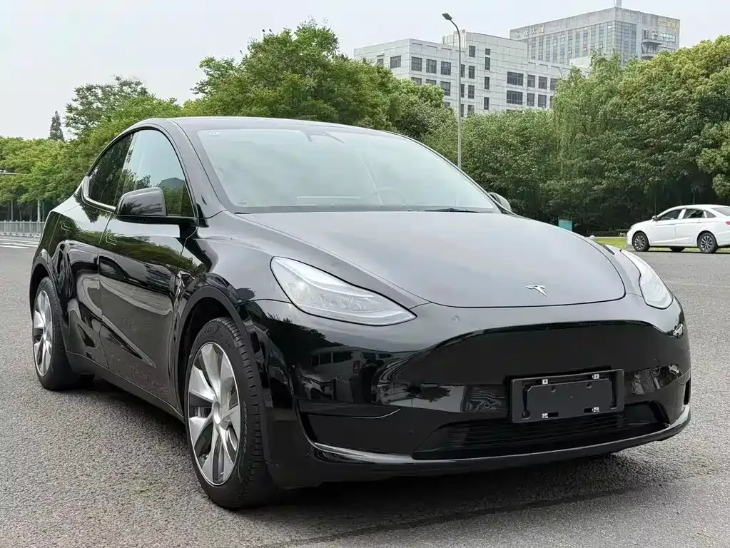 Tesla Model Y — фото 6