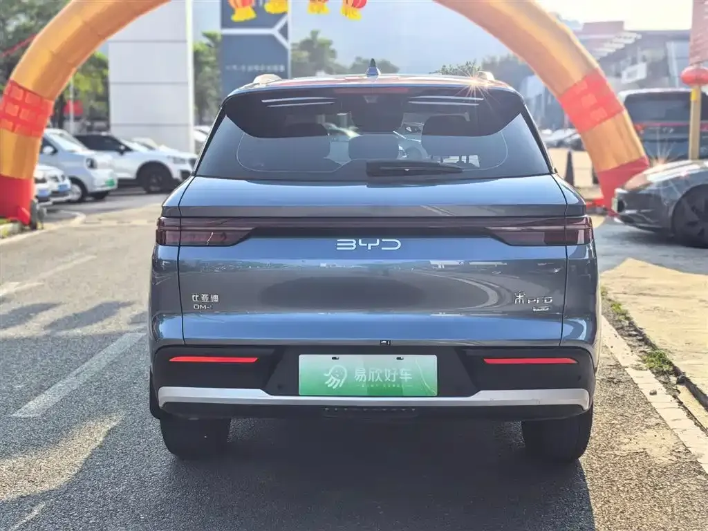 BYD Pro New Energy — фото 4