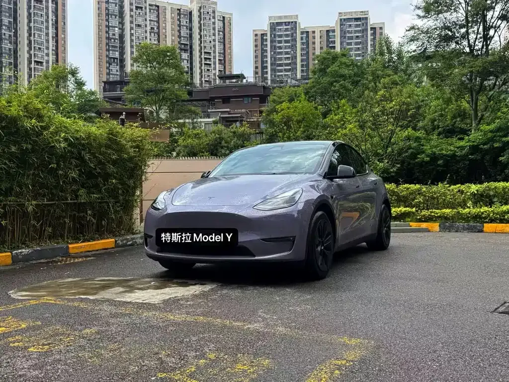 Tesla Model Y — фото 1