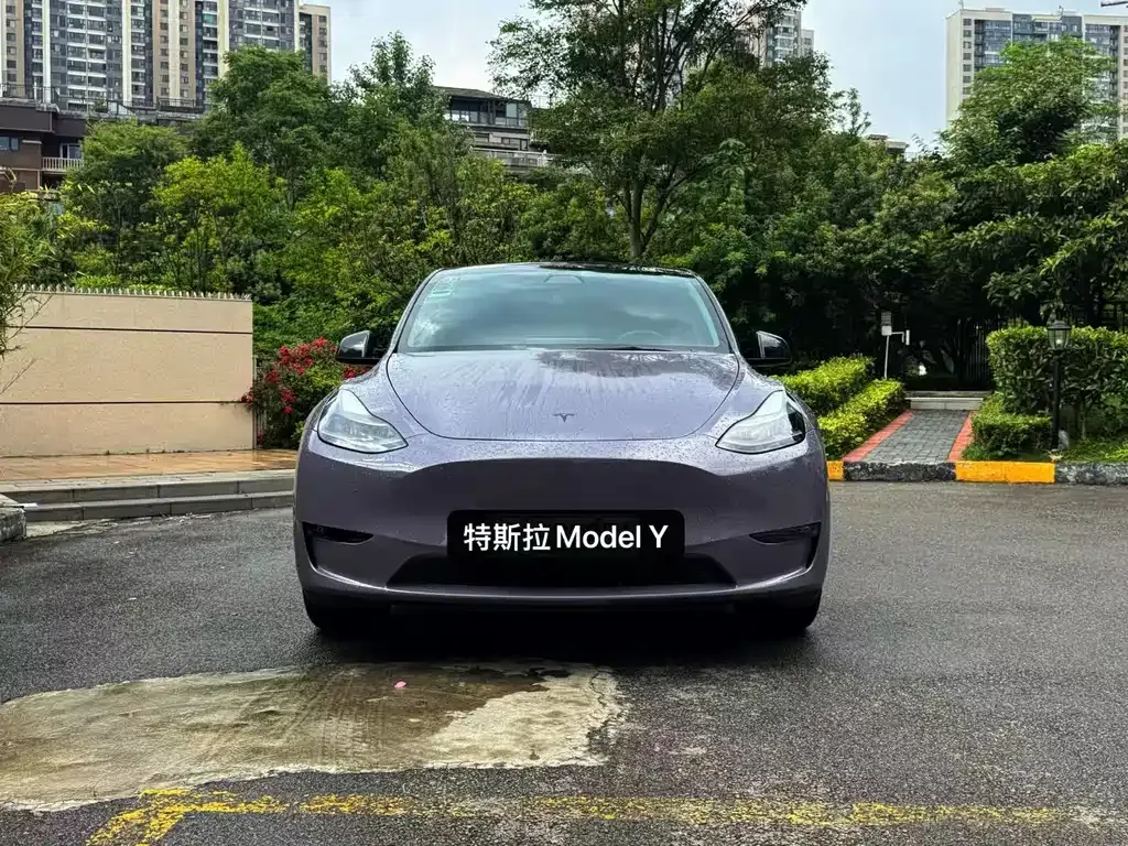 Tesla Model Y — фото 2