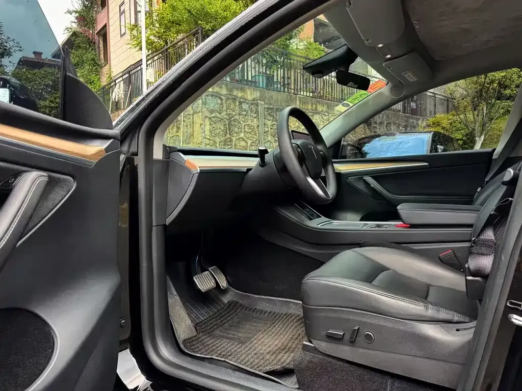 Tesla Model Y — фото 6