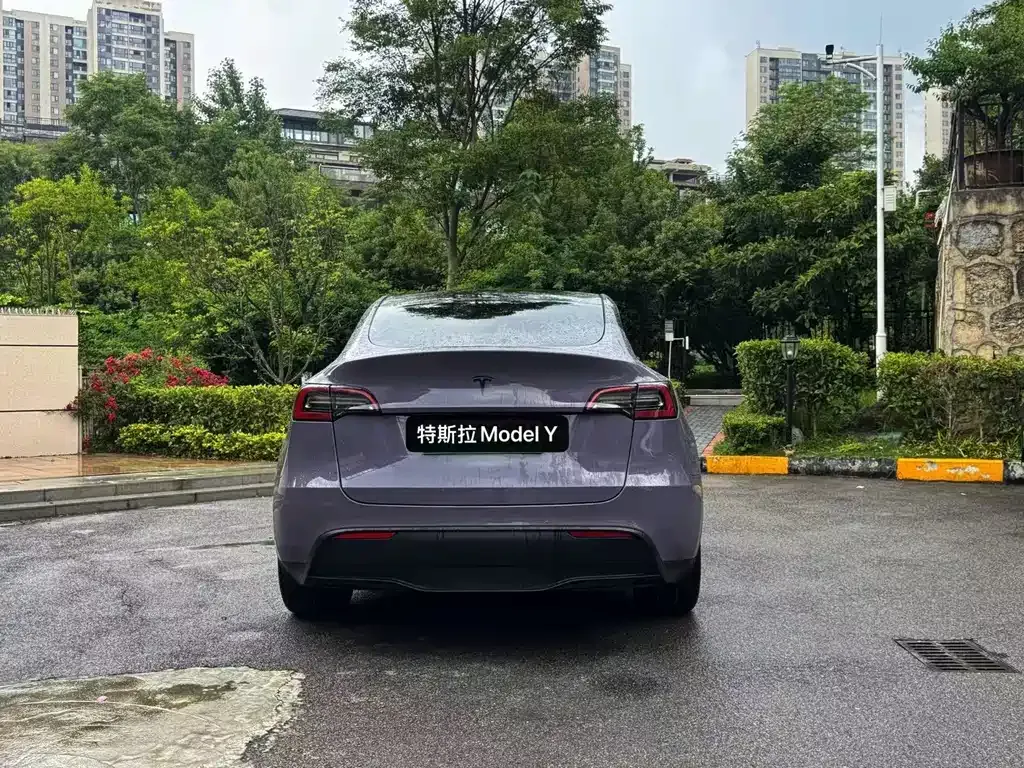Tesla Model Y — фото 10