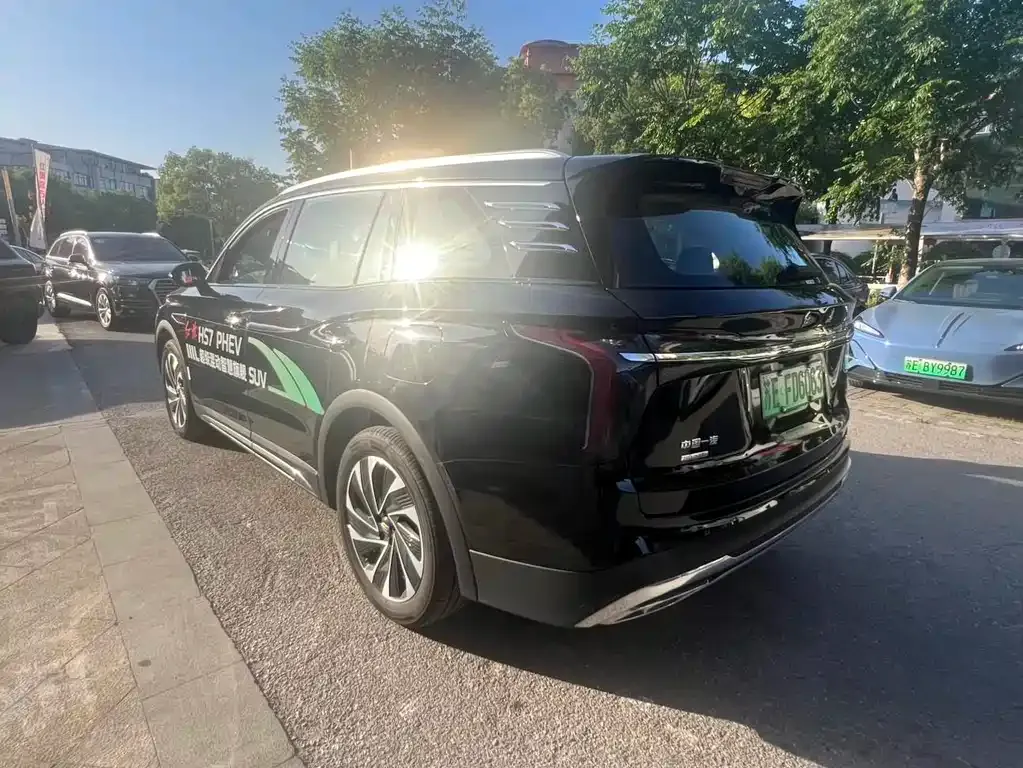 Hongqi HS7 PHEV 2024 из CN, фото 8