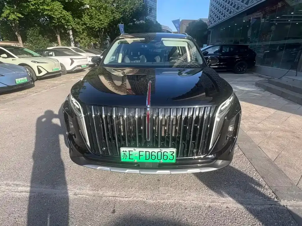 Hongqi HS7 PHEV 2024 из CN, фото 9