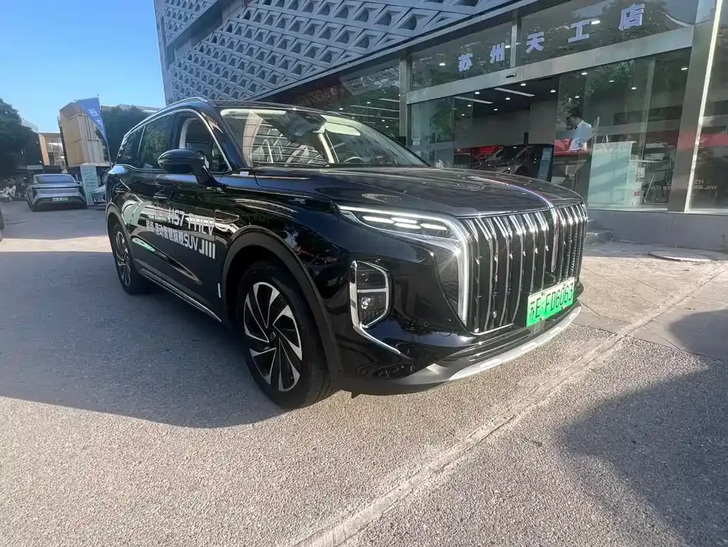 Hongqi HS7 PHEV 2024 из CN, фото 10