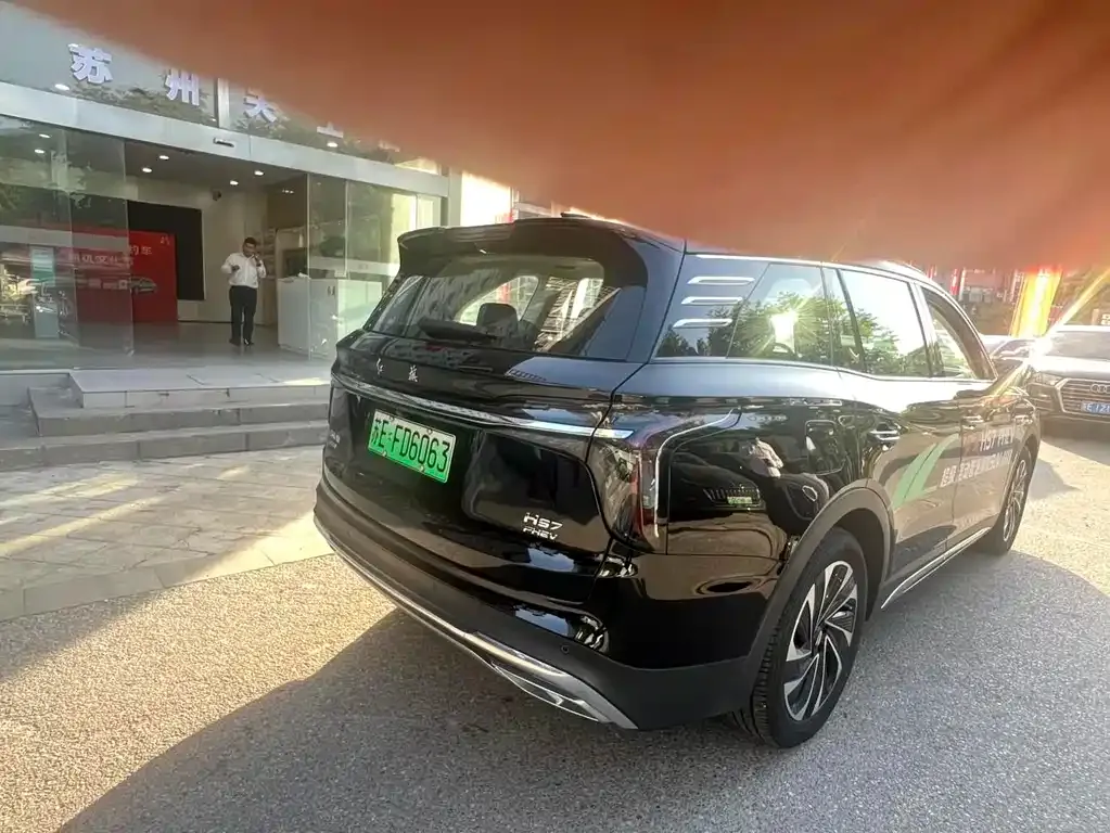 Hongqi HS7 PHEV 2024 из CN, фото 6