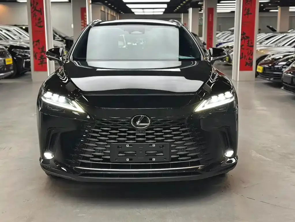 Lexus RX — фото 9