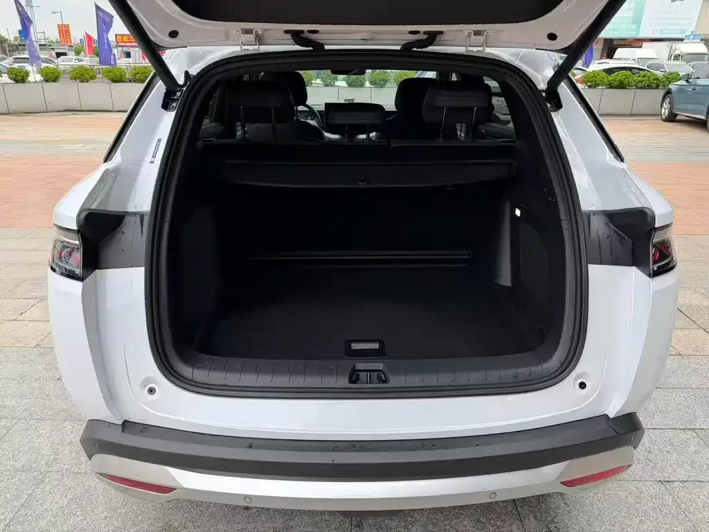 BYD L DM-i — фото 9
