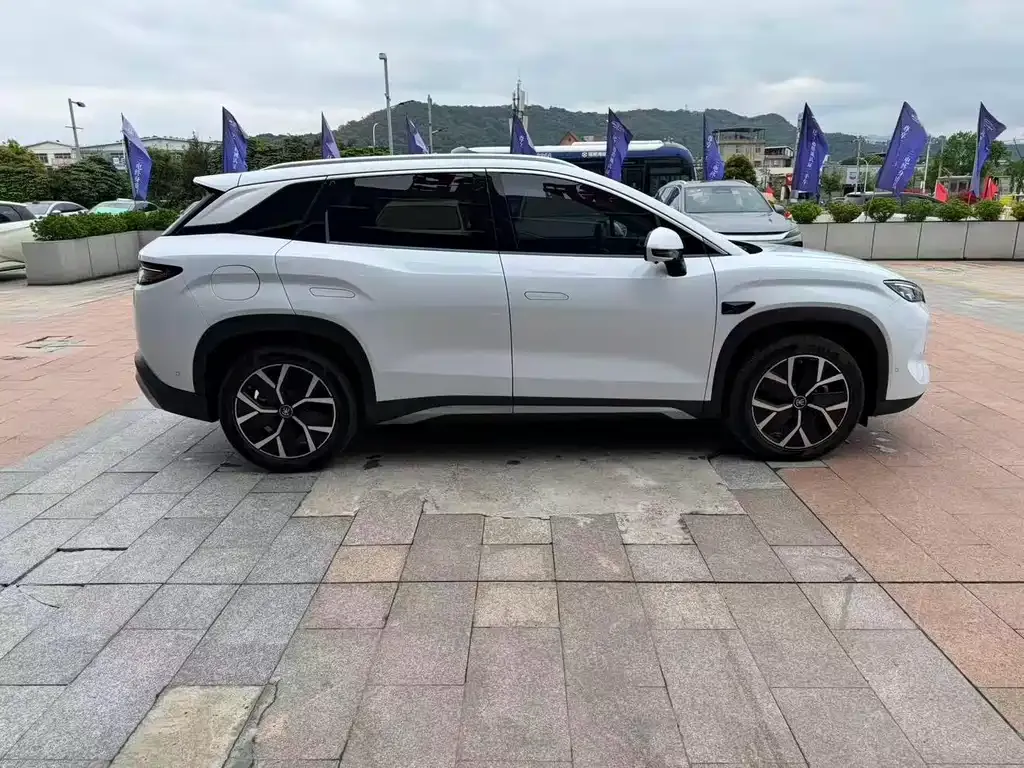 BYD L DM-i — фото 7