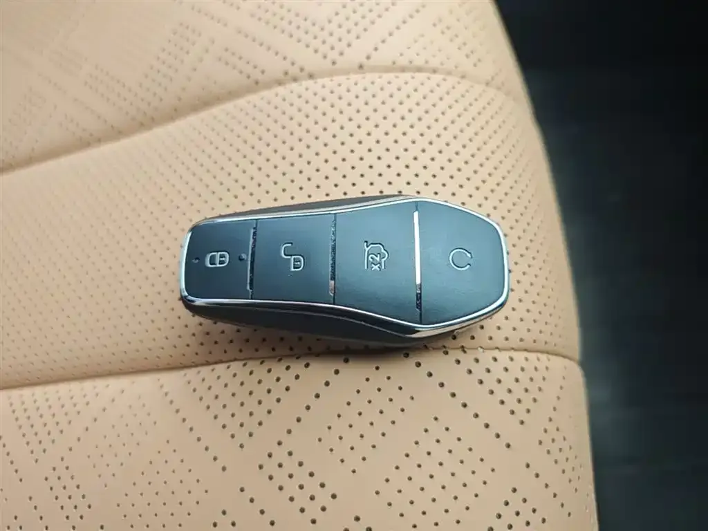 BYD L DM-i 2025 из CN, фото 2
