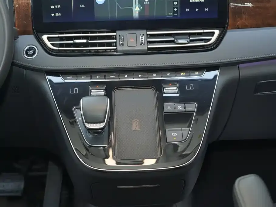 Hongqi HQ9 2023 из CN, фото 9