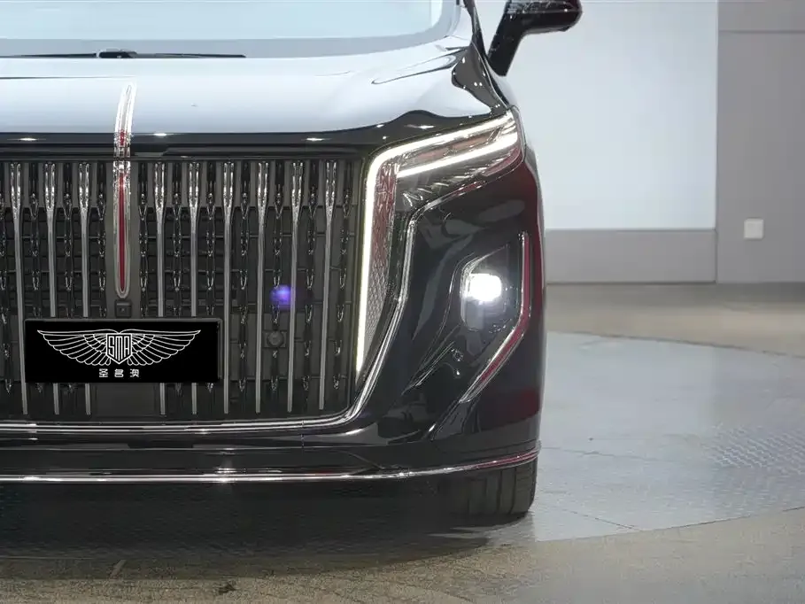 Hongqi HQ9 2023 из CN, фото 8