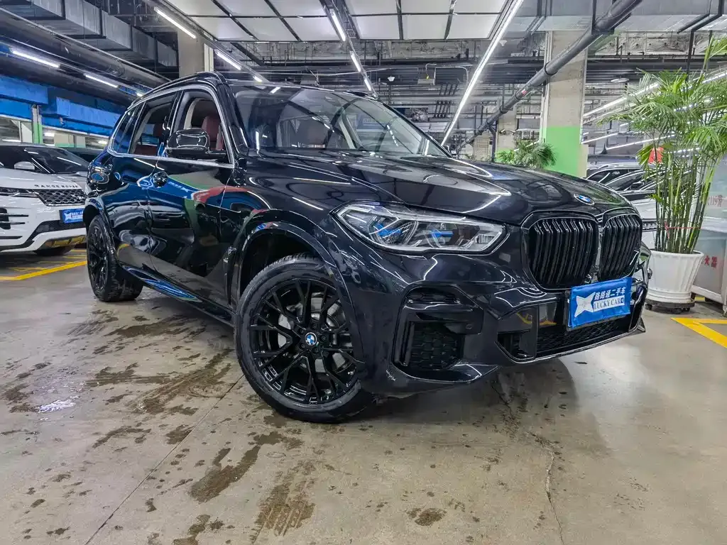 BMW X5 2022 из CN, фото 6