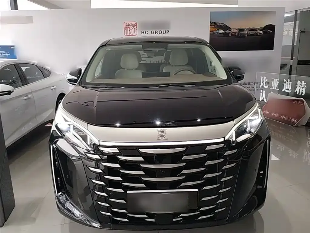 BYD Xia 2025 из CN, фото 4