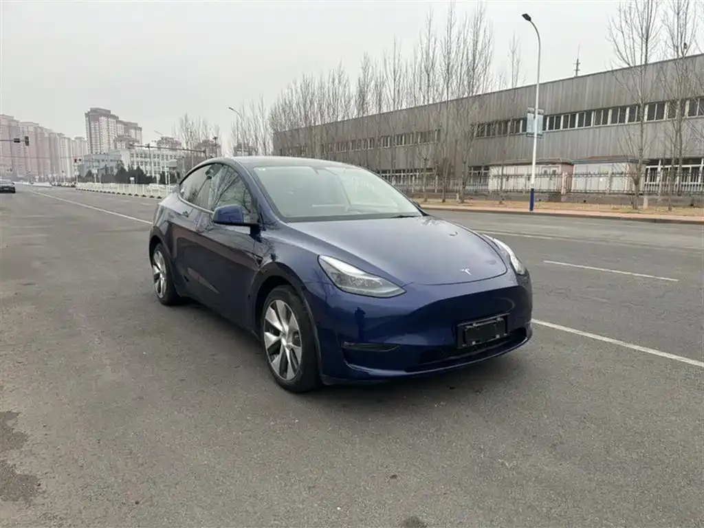 Tesla Model Y — фото 10