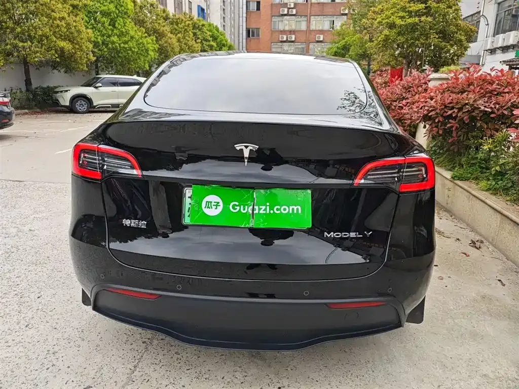 Tesla Model Y — фото 9