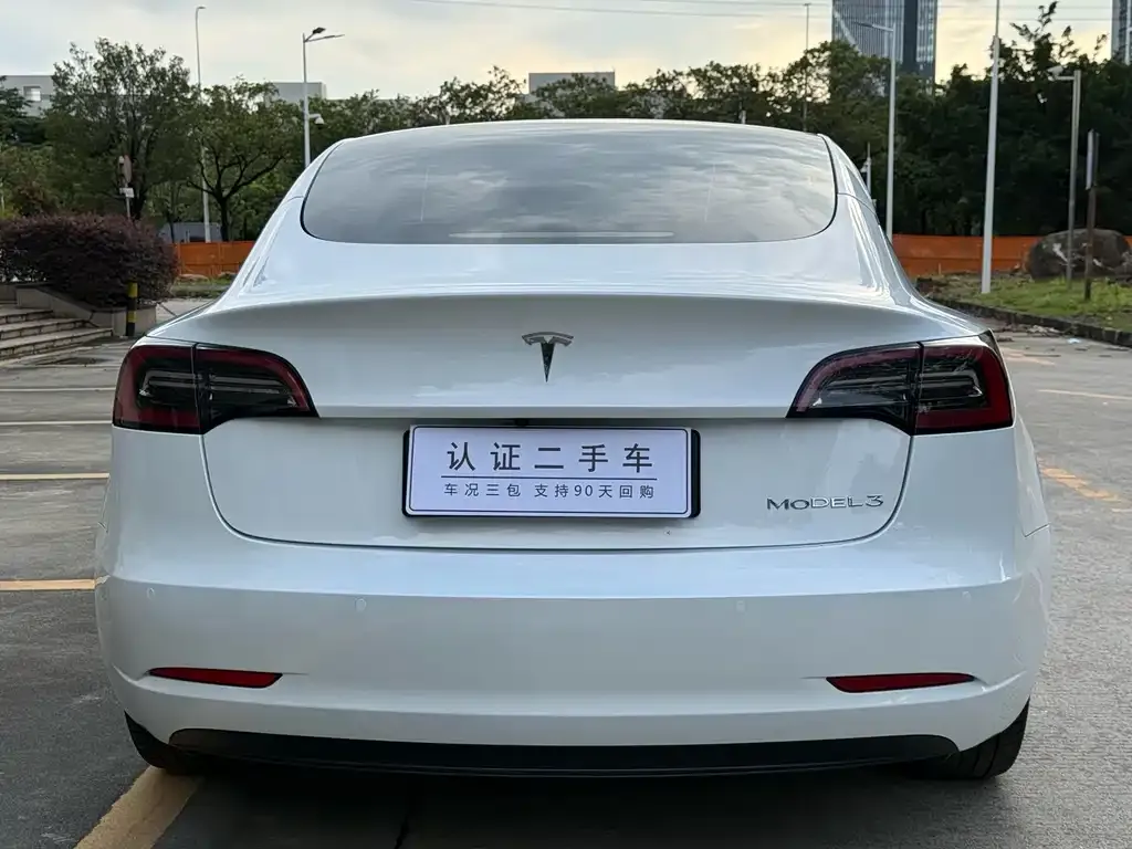 Tesla Model 3 — фото 2