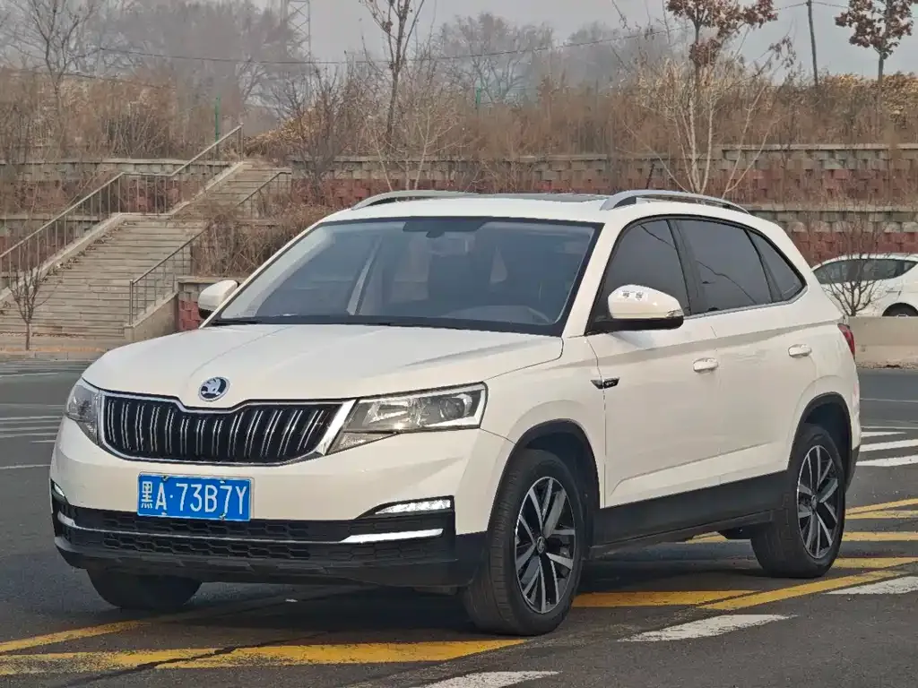 Skoda Kamiq 2023 из CN, фото 7