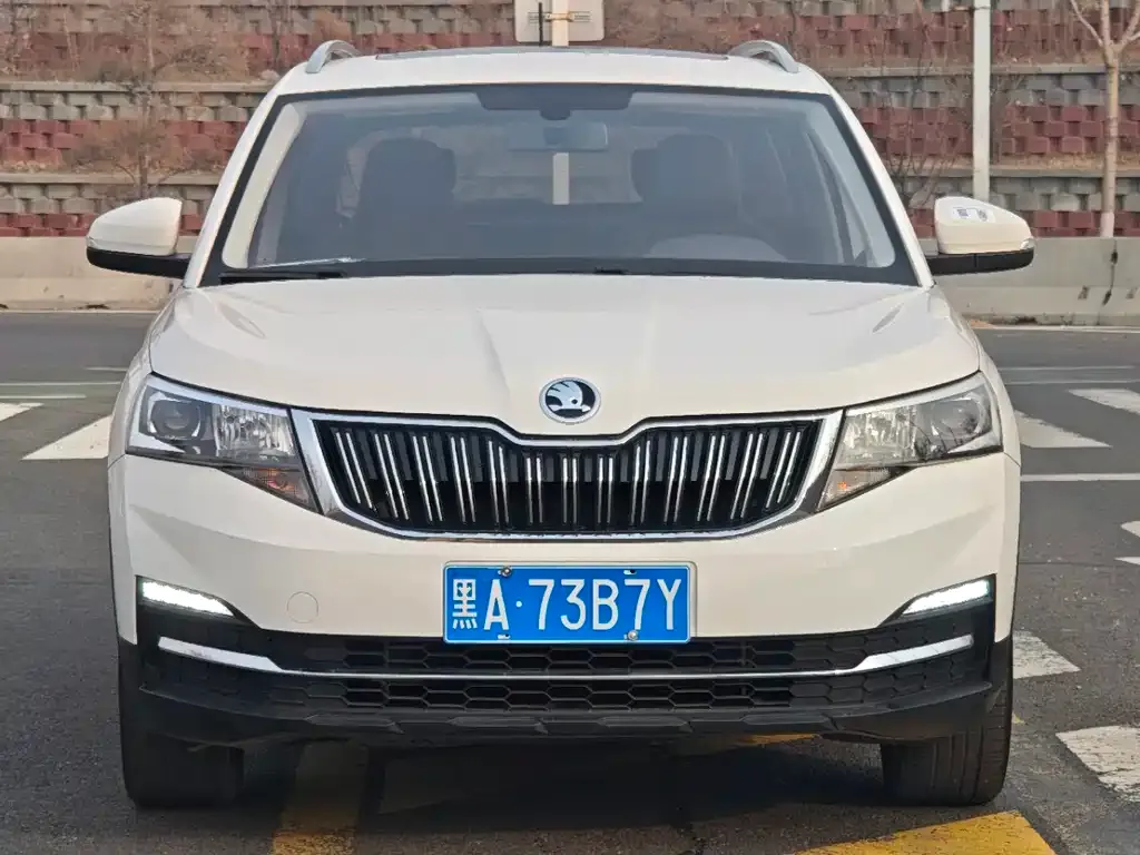 Skoda Kamiq 2023 из CN, фото 9