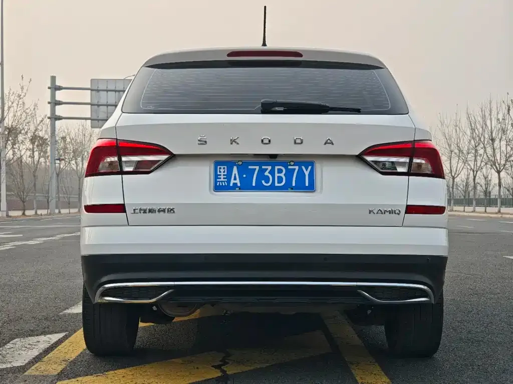 Skoda Kamiq 2023 из CN, фото 4