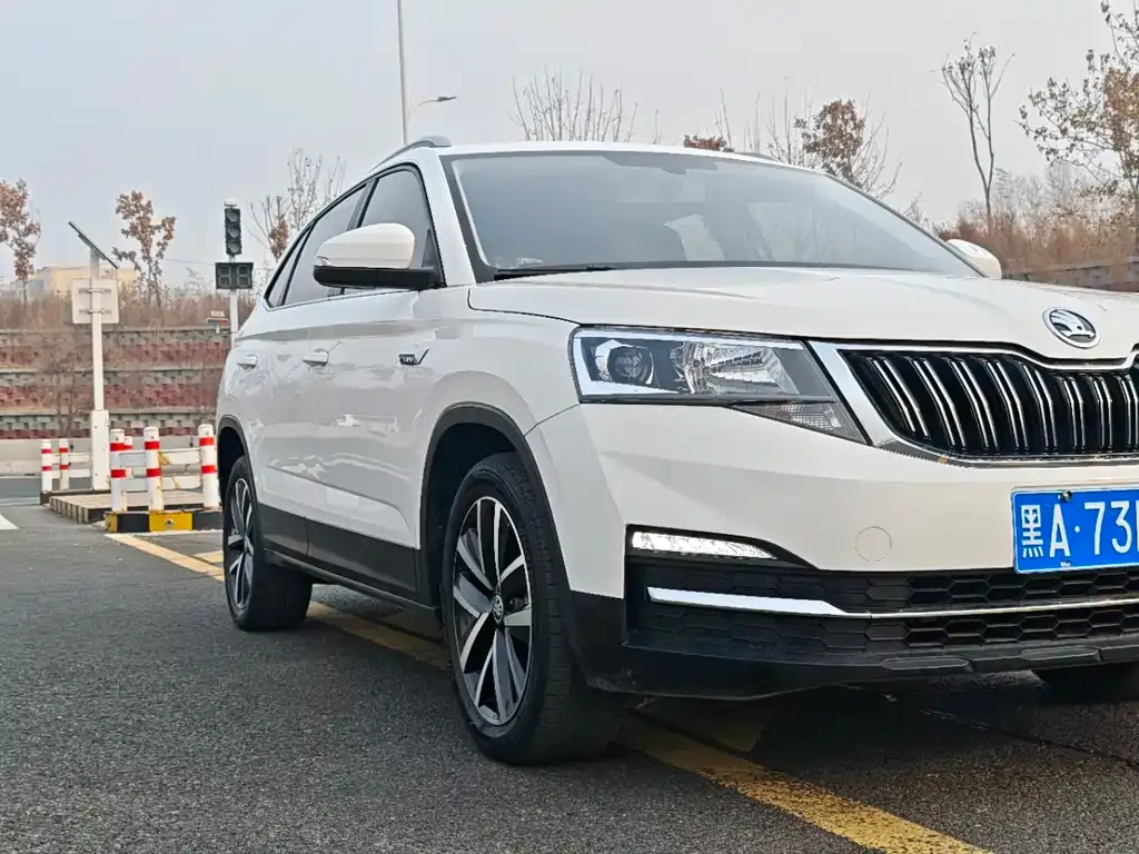 Skoda Kamiq 2023 из CN, фото 6