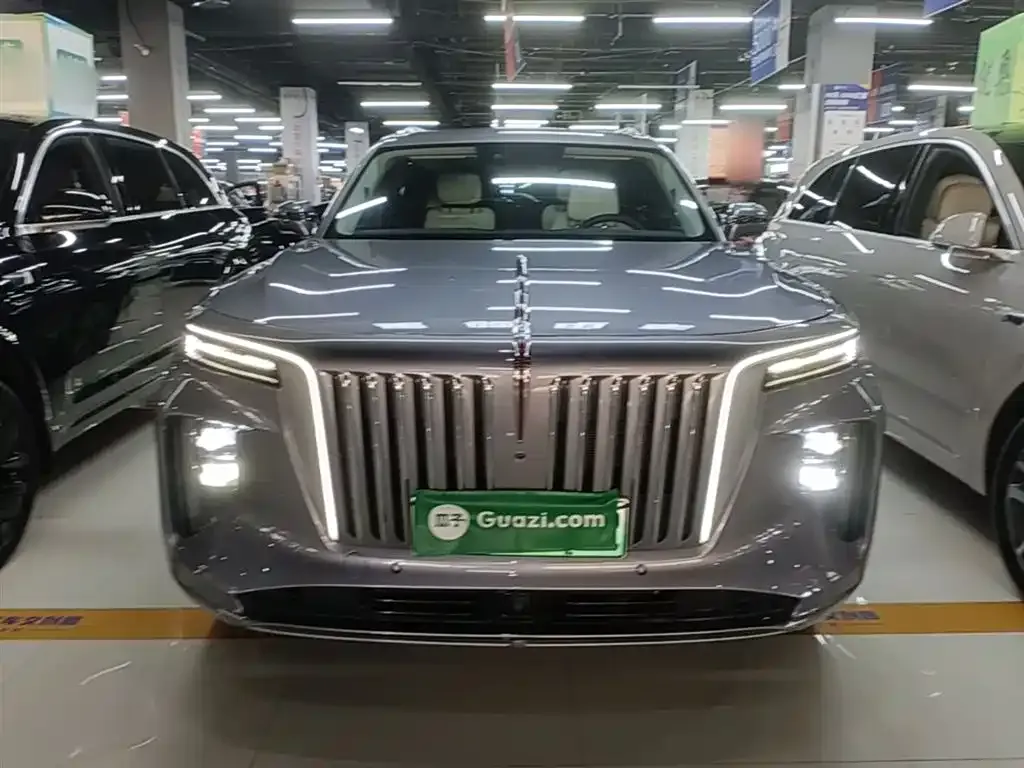 Hongqi E-HS9 2023 из CN, фото 8