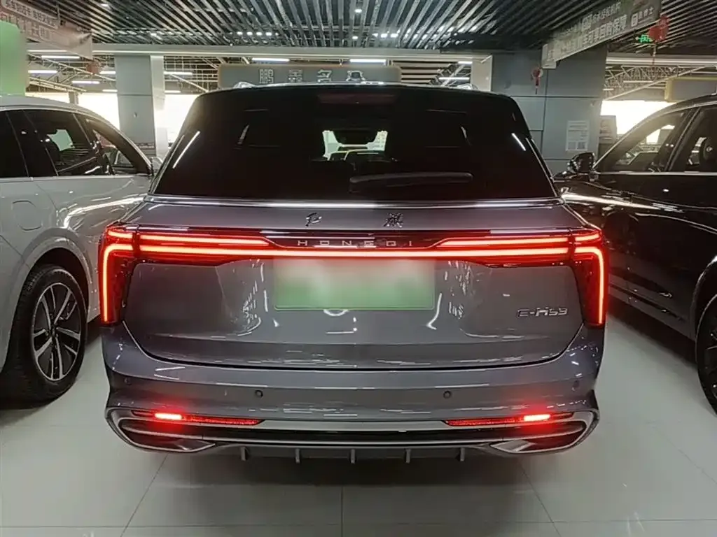 Hongqi E-HS9 2023 из CN, фото 9