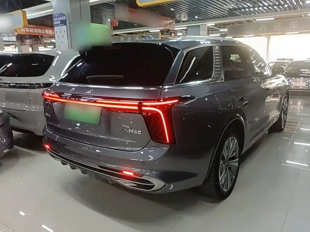 Hongqi E-HS9 2023 из CN, фото 6