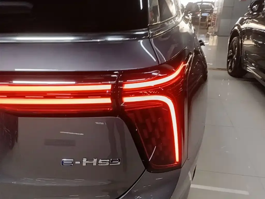 Hongqi E-HS9 2023 из CN, фото 2