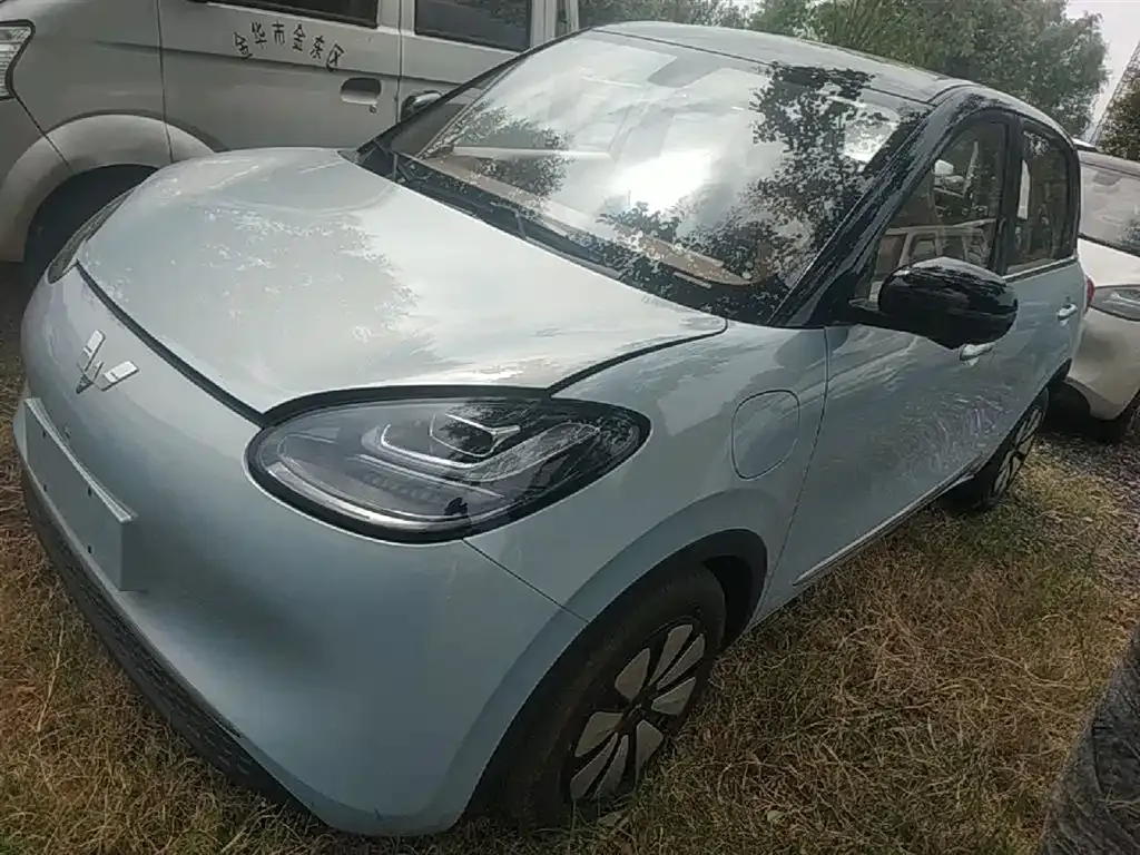 Wuling Bingo