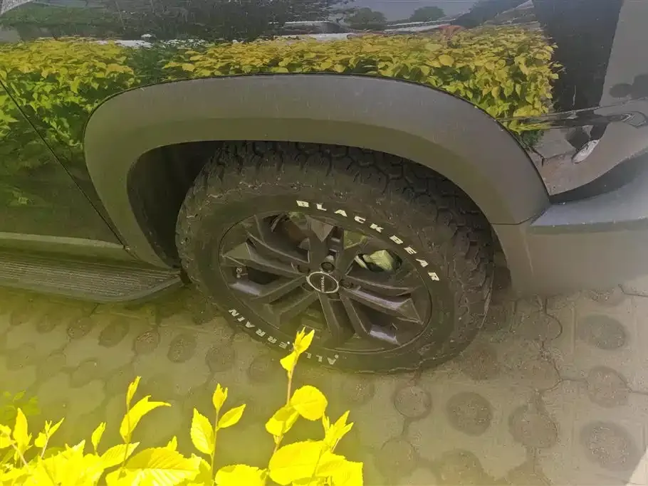 Haval Big Dog — фото 10