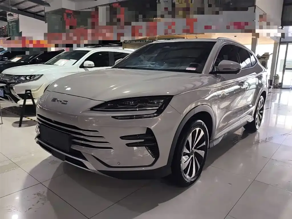 BYD PLUS New Energy 2023 из CN, фото 8