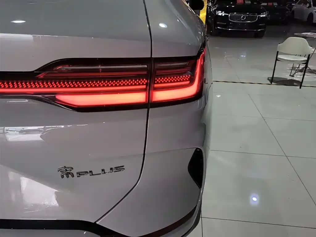 BYD PLUS New Energy 2023 из CN, фото 2
