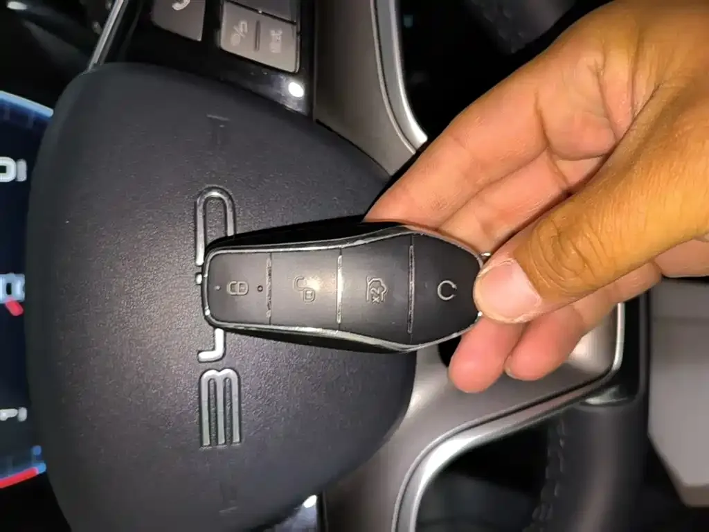 BYD PLUS New Energy 2023 из CN, фото 9