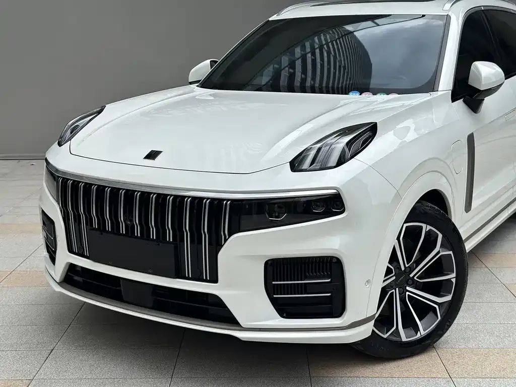Lynk & Co 09 PHEV 2023 из CN, фото 4