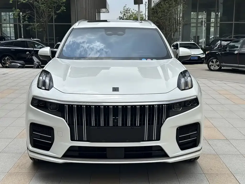 Lynk & Co 09 PHEV 2023 из CN, фото 6
