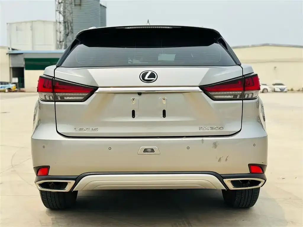 Lexus RX — фото 7