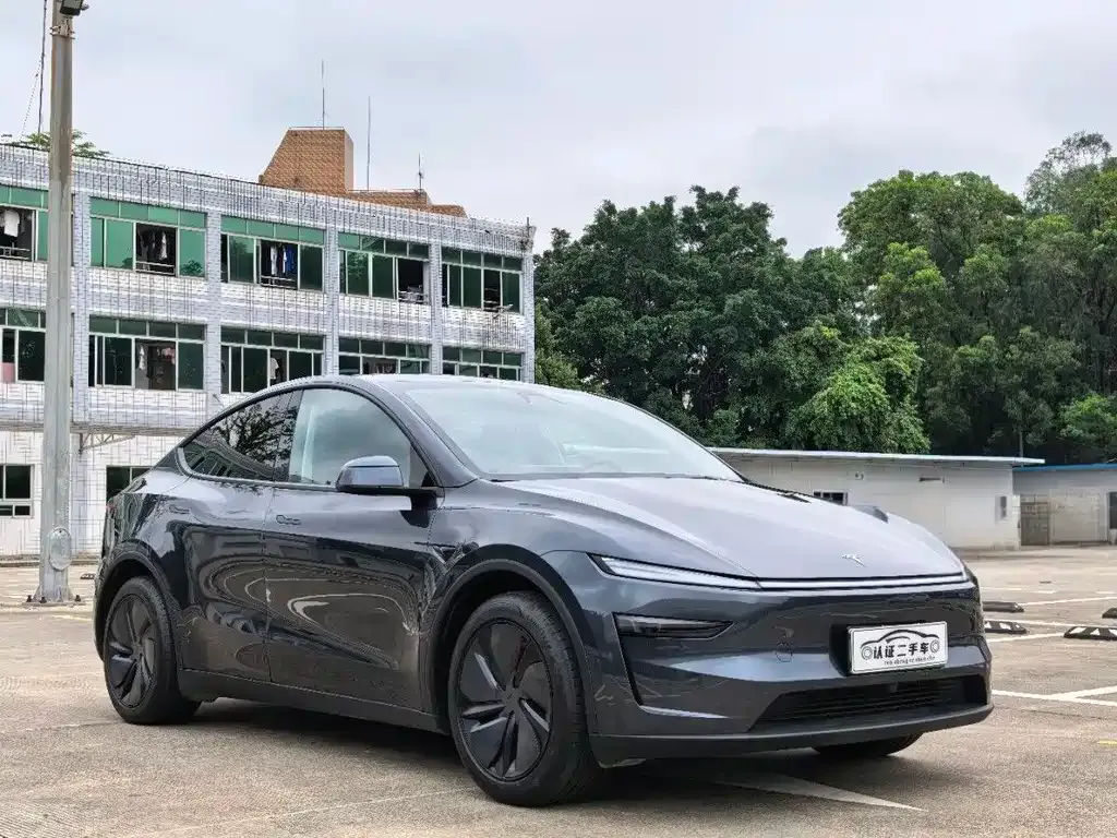 Tesla Model Y — фото 10